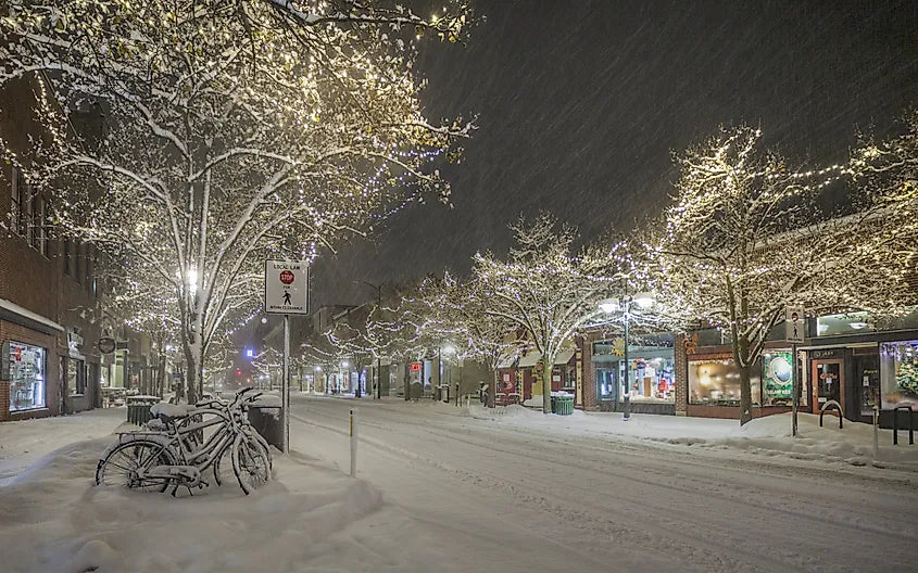 How Restaurants and Food Businesses Can Prepare for Winter Power Outages
